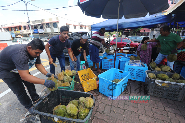 来自外州的各品种榴梿已运抵马六甲并进行零售。