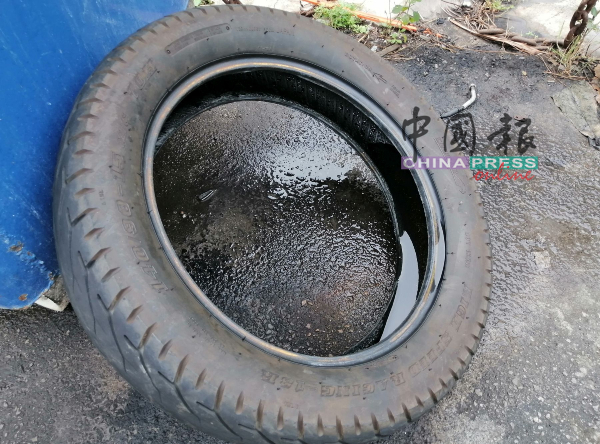 丢在路旁的轮胎积水，可滋生毒蚊。
