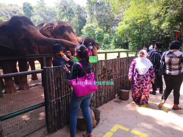动物园开放首日，上午时段，已吸引数户家庭前往参观。