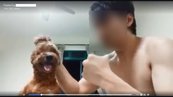 男子自拍虐狗视频，在镜头前拳殴小狗。