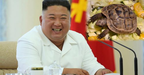 朝鲜千万人挨饿 金正恩：吃乌龟吧！