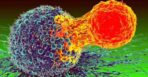 科学家研发血液筛检 提早验出5种癌细胞