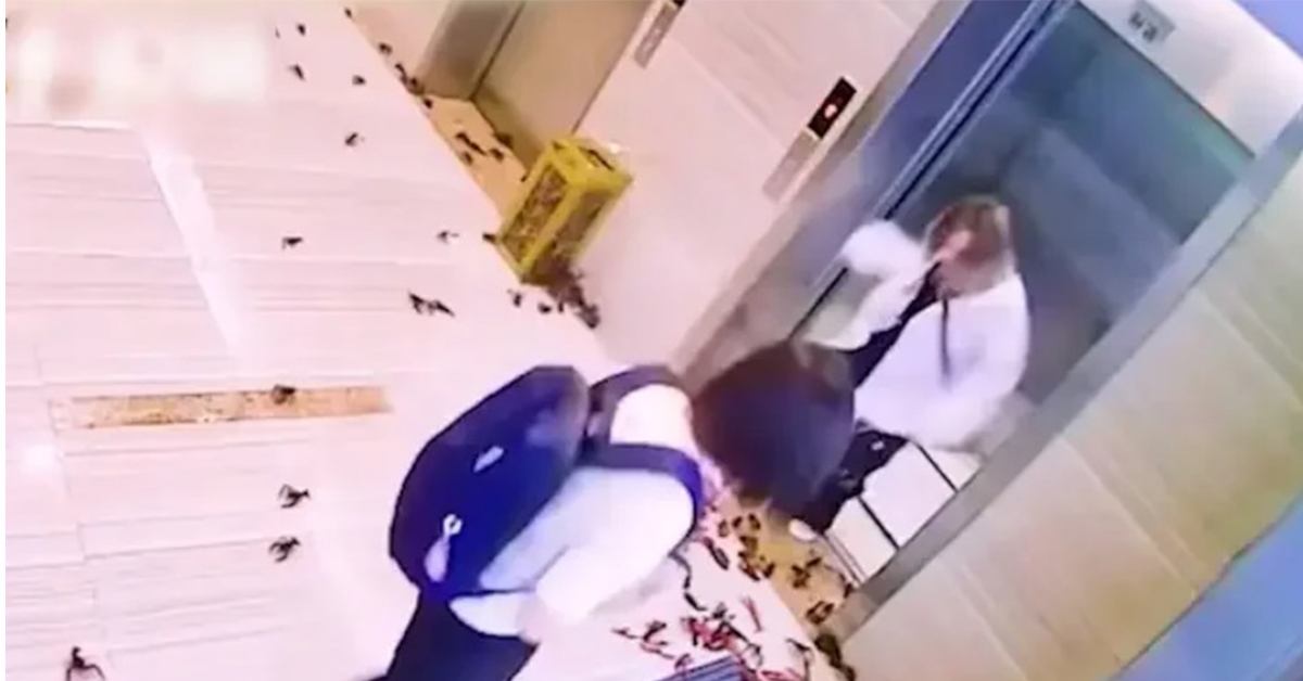当电梯门一打开，员工见到遍地是小龙虾，当场吓得大叫。