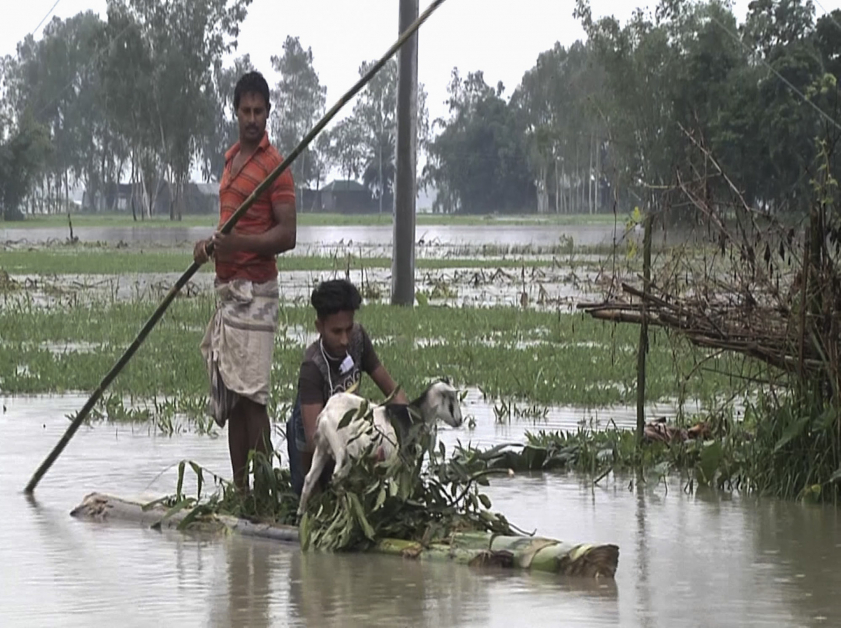 孟加拉拉尔莫尼哈德市被洪水淹没，灾民用香蕉树的树干做成木筏，撤离灾区。（美联社）