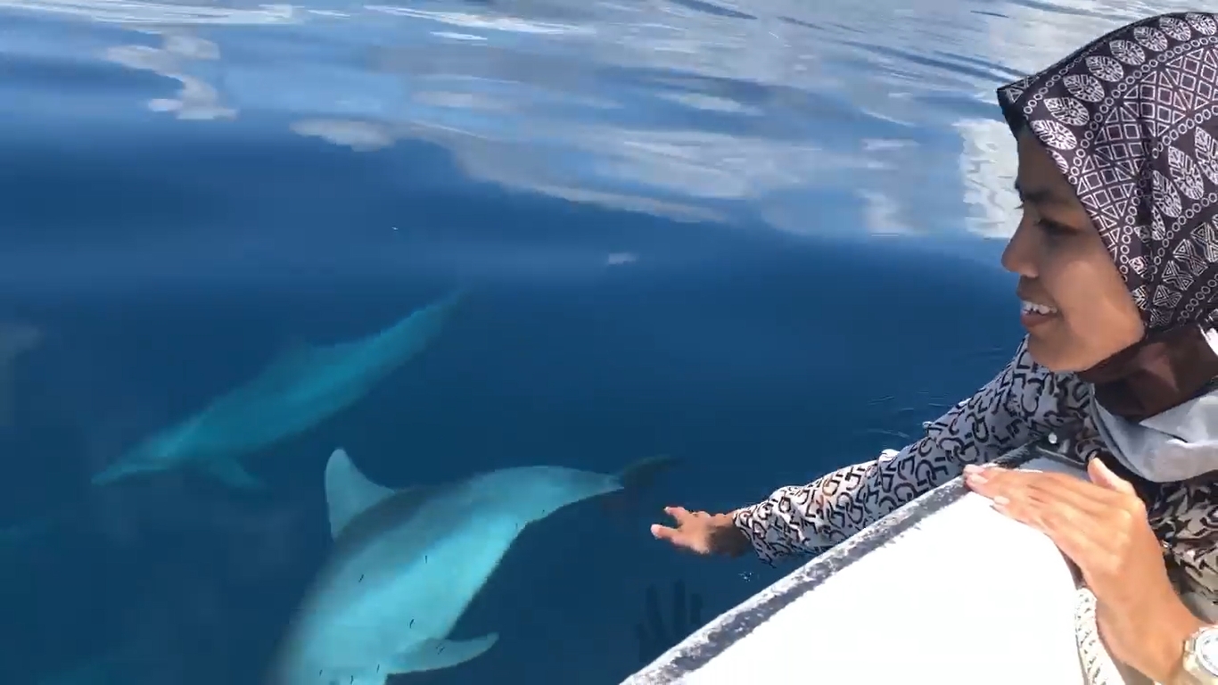 莫哈末费沙沙里丹妻子与海豚友善互动。