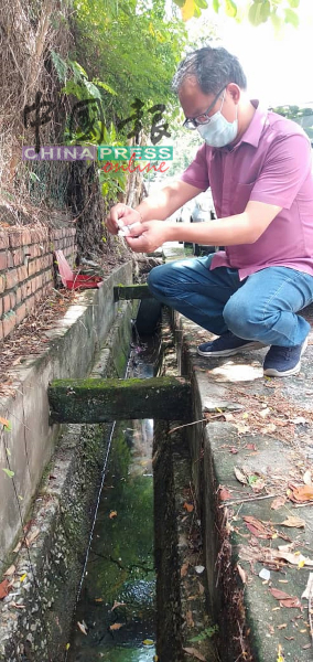 刘志良将灭孑孓药物撒在沟渠内，防止黑斑蚊繁殖。
