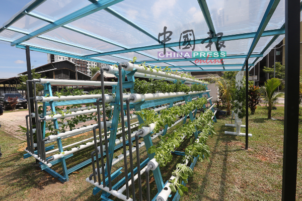 居民采用现代农业技术种植，产品也通过农业市集以可负担价格出售。