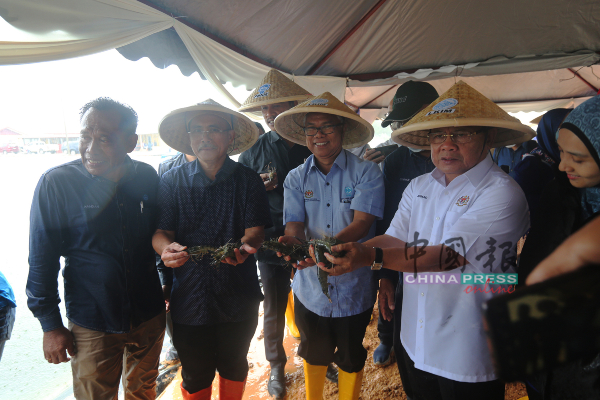 嘉宾们展示双溪南眉士峇株养殖所养殖的老虎虾。
