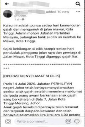网民贴文指出，哥打丁宜马威近期频发生野象攻击人类及扰民事件，是因为野象找寻小象，并呼吁当局将小象放生回该处。