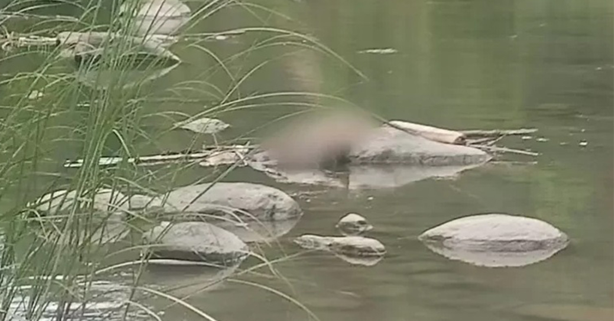 嘉义县中埔乡27岁刘姓男子疑似吸毒后跌落河床死亡，尸体被发现在澐水溪河床。