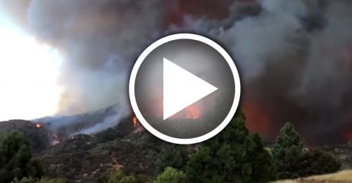 加州今年首场林火 由故障柴油车引爆