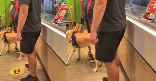 残疾女泳将申诉：带导盲犬进餐厅被拒