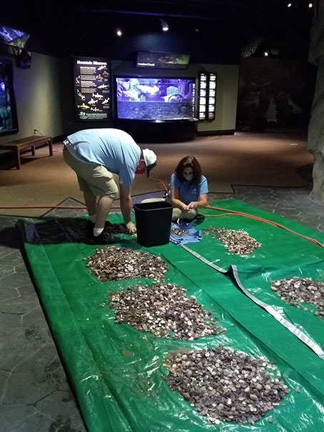 水族馆员工清点大量钱币。