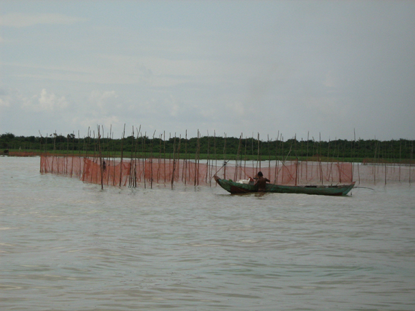 洞里萨湖渔产丰富，养活不少水上人家。