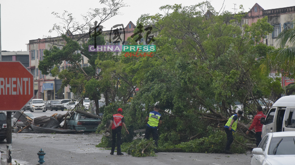 汉都亚再也市议会工作人员清理树倒压到车的现场。