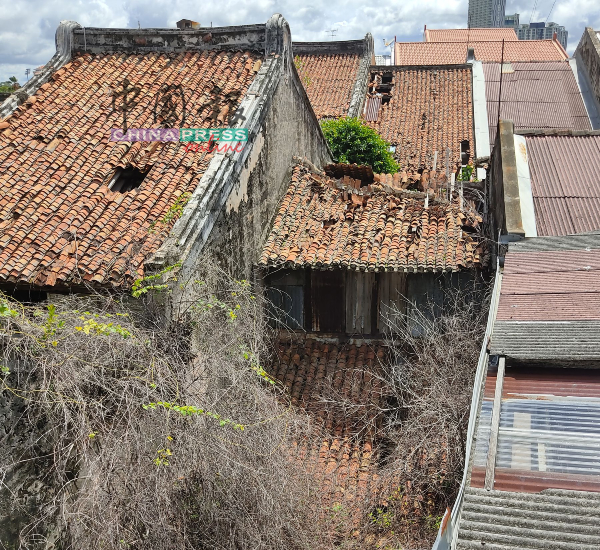 空置多年的老屋，屋顶破损，相信因此而积水生蚊。