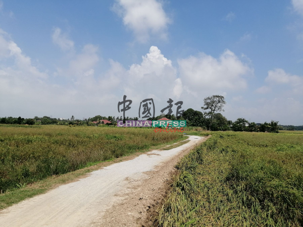 甘榜槟榔稻田区落在灌溉系统的尾端，经常分配不到水供，导致该稻田区缺水。