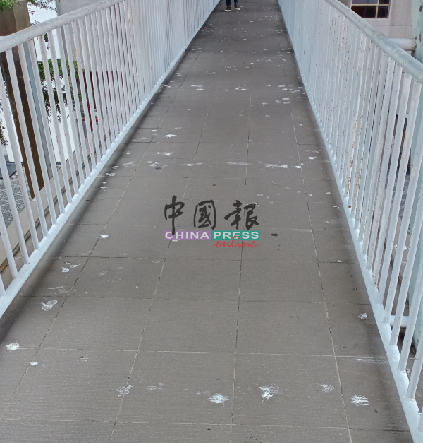 人行天桥数月没有使用，天桥走道皆是鸟粪。