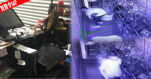 ◤复管令SOP◢ 贼徒爆窃百酌点心楼  全程无蒙面被拍下