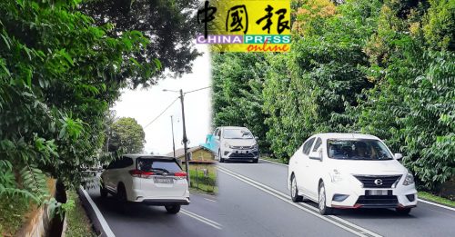 三宝山沿路树丛茂盛  有碍视线险象环生