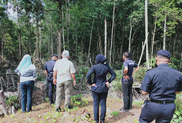 针对监测发现的红树林盗伐现象，森林城市于2017年成立了专门的红树林护林队，加强对红树林的保护；截止到2019年底，已有效制止红树林盗伐行动。