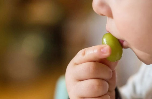 日本专家指不宜把整颗葡萄给幼童吃。