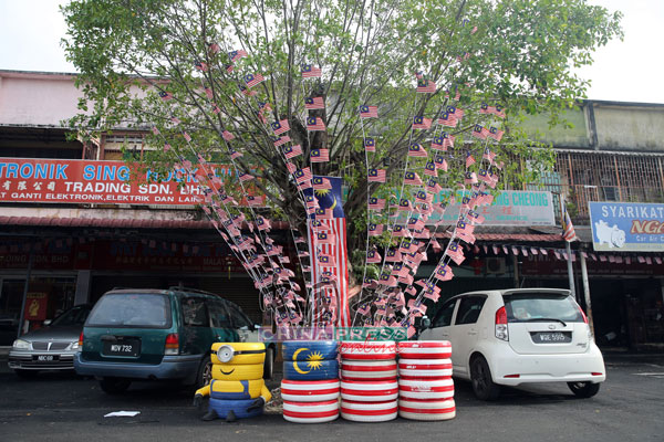 色彩缤纷的国庆树，近期吸引州内外民众到来打卡拍照。