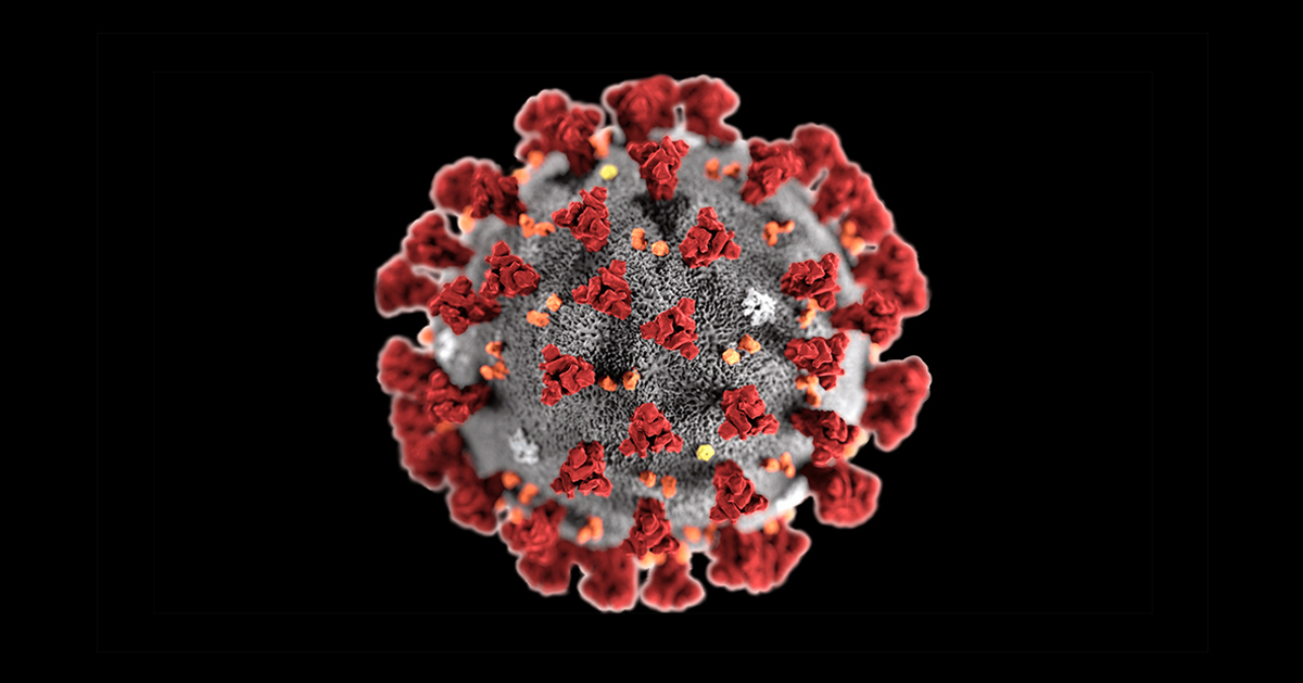 研究发现，新型冠状病毒可能有更强的变种能力。