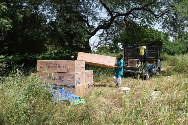 新德里殡葬人员周日将多个棺材从运尸车抬下，准备埋葬。