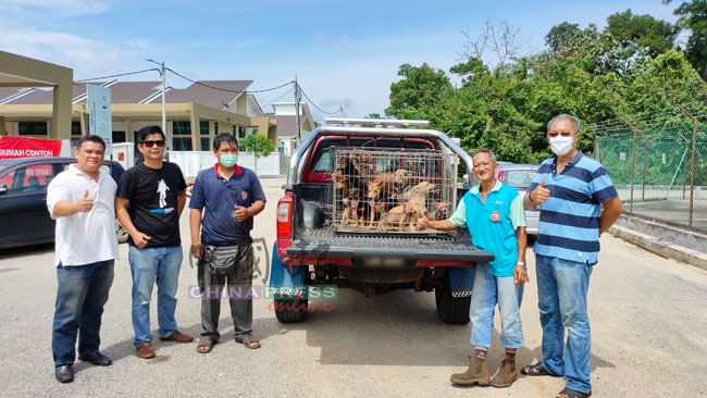 郭峻铭（左起）、胡昌仪、陈亚礼、陈镁财及谢家强将3姐妹所养的狗儿送至流浪狗收留中心。