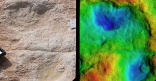 料为最早人类生命证据 古老湖泊发现12万年前脚印