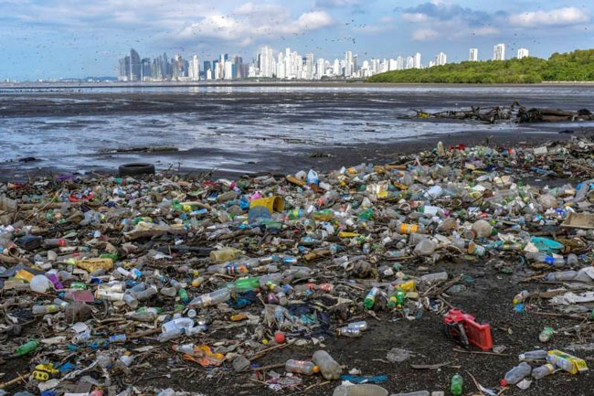 塑料垃圾问题严重污染和毒害地球。（法新社）