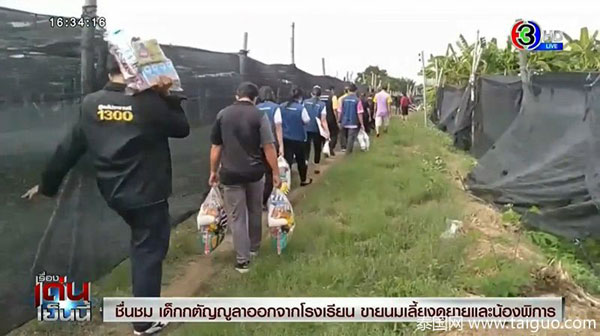 13岁童卖牛奶 养活外婆和残疾弟