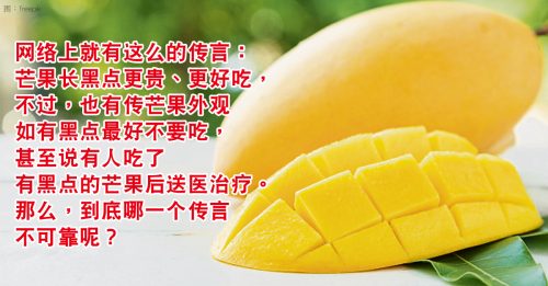 【真消谣】芒果长黑斑能吃吗？  专家∶如果腐烂就该丢