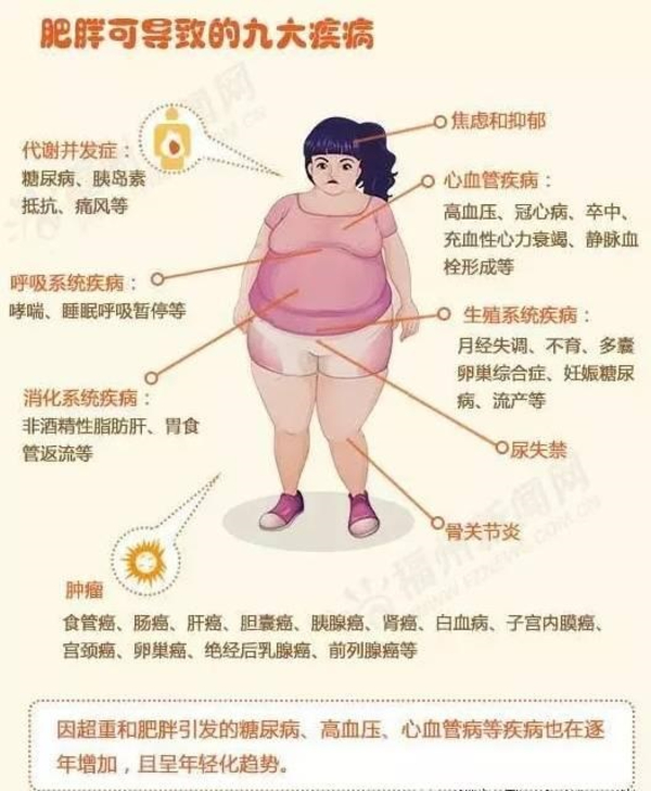 肥胖可导致许多严重疾病缠身。