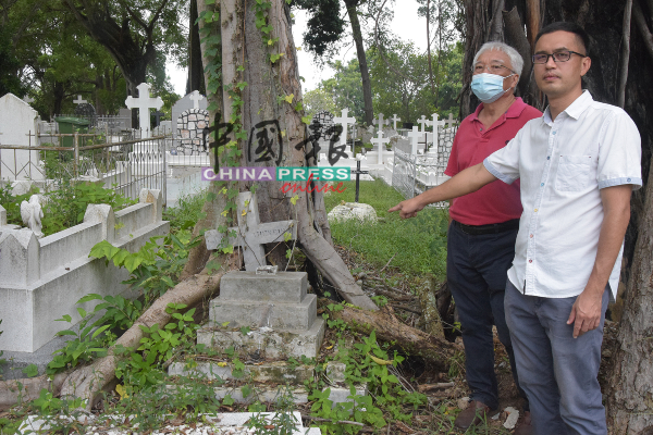 李翰霖（右起）及李杰乐米指着其中一个墓地，已遭枯树插个正着。