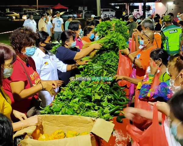 家庭收入受影向的包括3大民族,前来领取免费蔬菜的就有马来人、华人和印裔。
