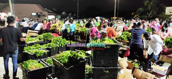 善心组织载3吨蔬菜免费派发,讵料竟然不够。