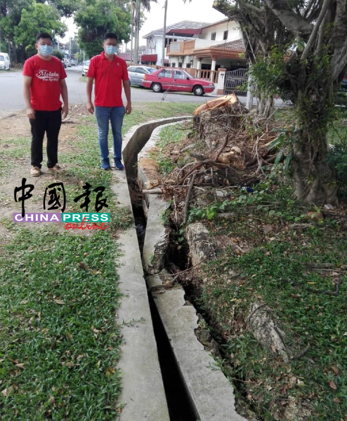 玛琳阿峇迪沟旁大树在风灾时被刮倒，导致水沟洋灰破损未获维修，影响雨天时排水的顺畅，右起谢守钦与张文杰。