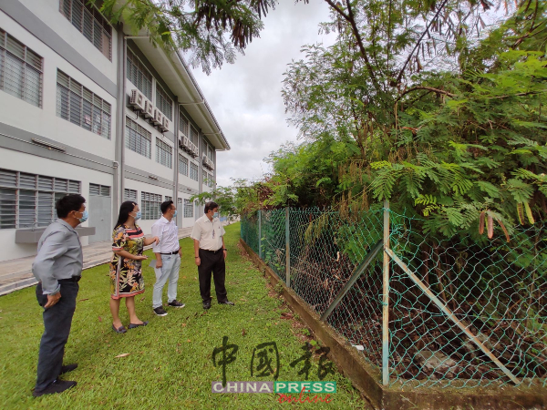林千宏（左起）、郑金珠、蔡求伟及戴佛淞，讨论如何处理茂密的丛林。