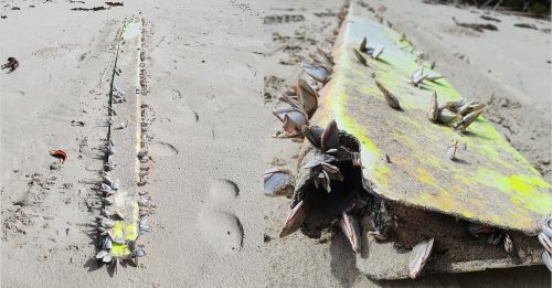 澳海滩发现神秘物 疑为马航MH370残骸