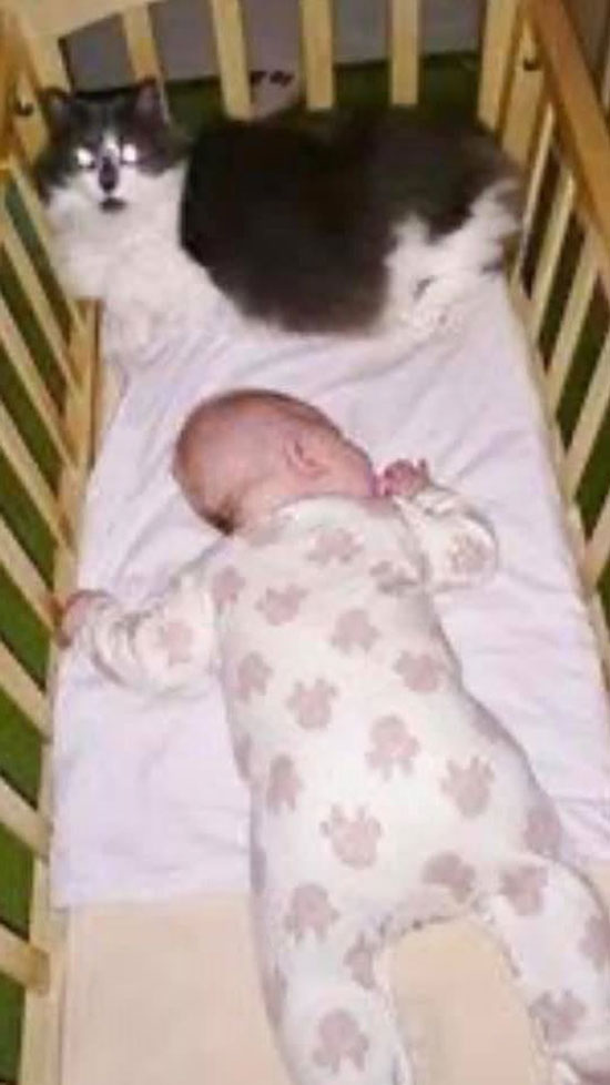 婴儿时期的妮薇亚，在猫咪“叮叮”的陪伴下睡觉。