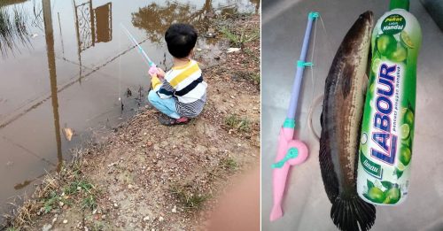 3岁童用玩具钓竿 钓获1尺生鱼