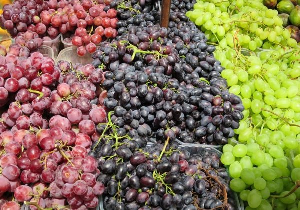 无论是什么颜色，都要选择果实饱满、硬实的葡萄。