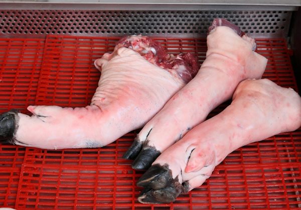 左为猪前腿，右侧两支则为猪后腿肉。