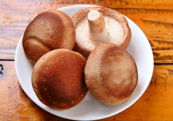 鲜香菇很容易为水气、热气而酸坏，建议可在保存容器中一同放入干燥的厨房纸，吸收多余的水气。
