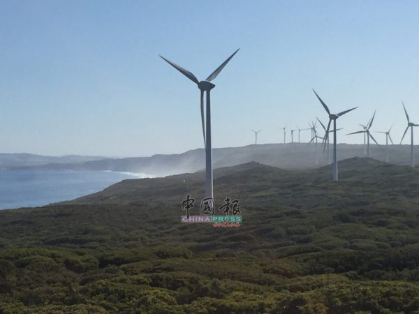 奥班尼风车农场可以免费参观，这里也是澳洲最大的发电厂，拥有18个风力涡轮机，是澳洲最重要的发电厂。