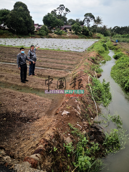 林千宏（左）和汤开烈前往即将开辟道路的菜园地视察。