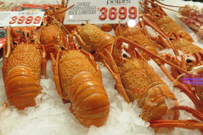 中国是澳洲龙虾的最大市场。