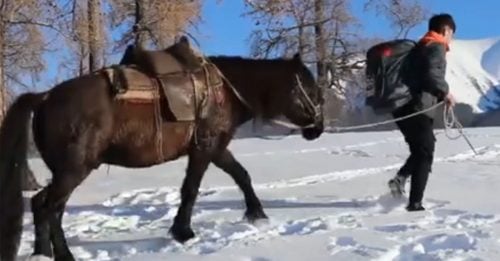 暴雪致道路结冰 新疆快递员骑马送货